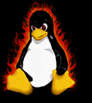 blaze's user image