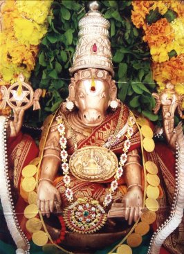 ungalnanban's user image
