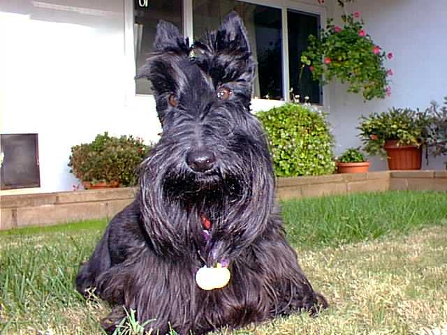 diskcrash's user image