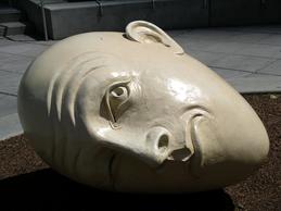 moot's user image