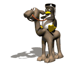 spadacciniweb's user image