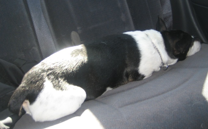 whakka's user image whakka's user image