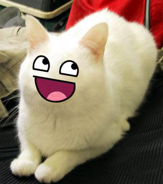 hypknotizzed's user image