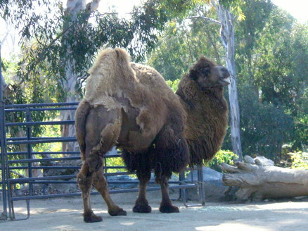 repellent's user image repellent's user image