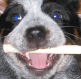 jrowe's user image jrowe's user image