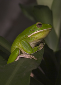 edoc's user image
