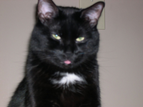 cosecant's user image