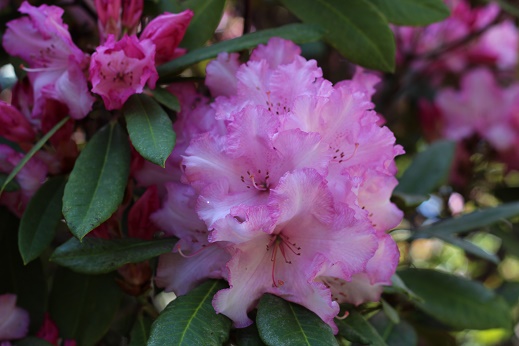 CPUlidster's user image