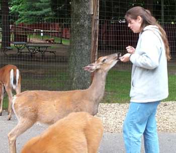 biograd's user image