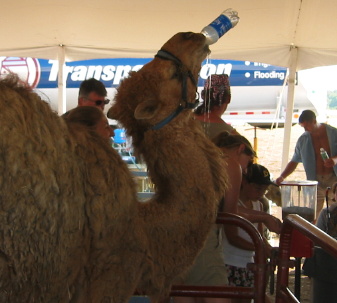 ChemBoy's user image