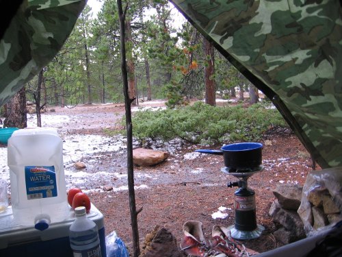 penguinfuz's user image