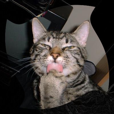 DamnDirtyApe's user image