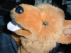 stajich's user image