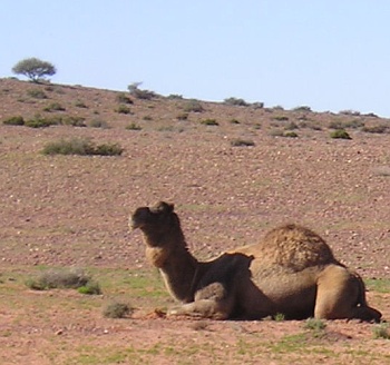 fruiture's user image