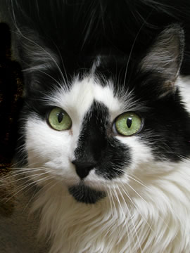 tall_man's user image