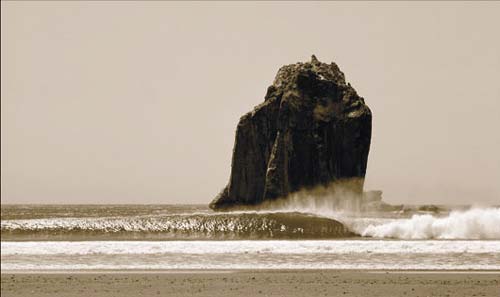 jacques's user image