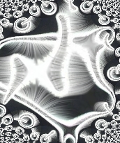 czarfred's user image