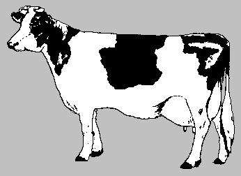 RolandGunslinger's user image