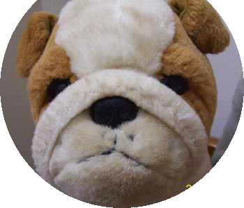 InfiniteLoop's user image