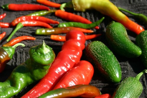 blueberryCoffee's user image