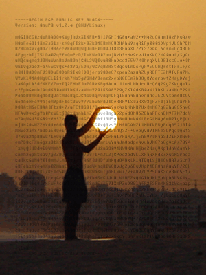 nerfherder's user image