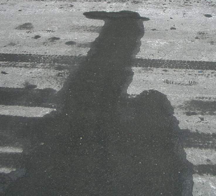 PetaMem's user image