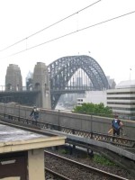 monarch's user image