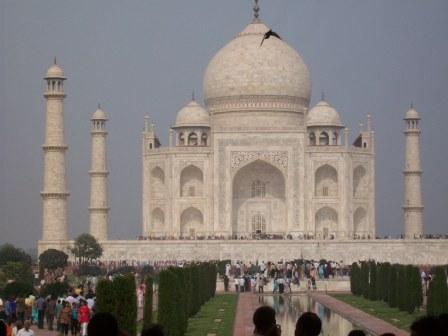 sanPerl's user image