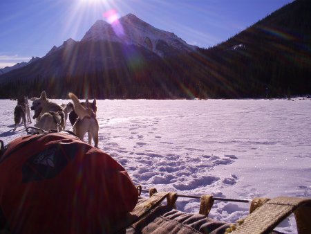 superfrink's user image