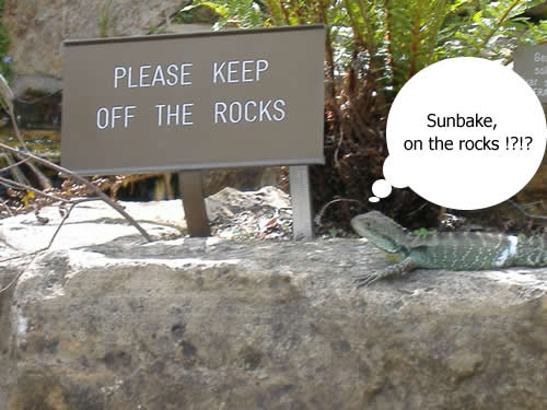 kabeldag's user image