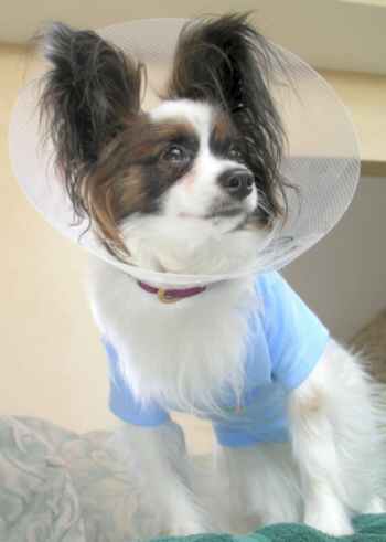 smithers's user image