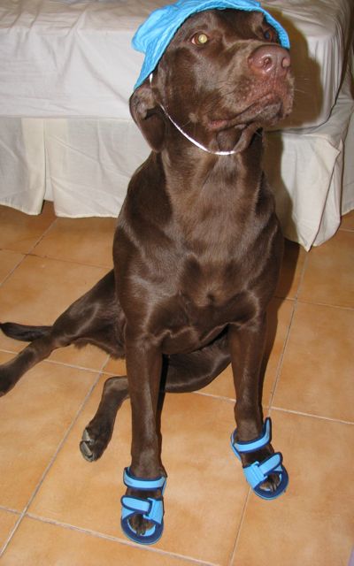 citromatik's user image