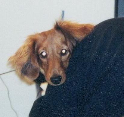 pmonk4ever's user image