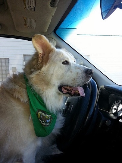 jedikaiti's user image