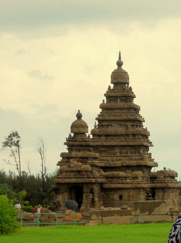 umasuresh's user image