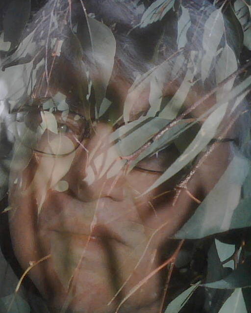 jakeease's user image