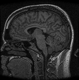 davehorner's user image