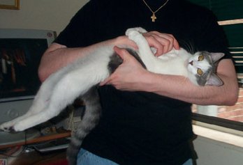 shotgunefx's user image