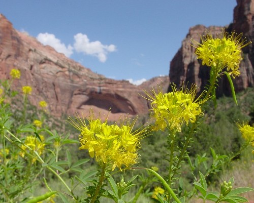 particle's user image