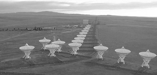 beernuts's user image