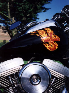 tekniko's user image