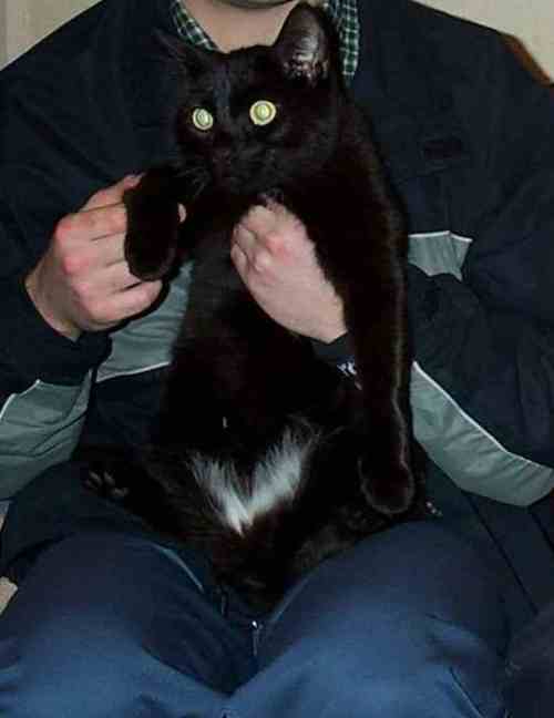 dr_beln0ck's user image