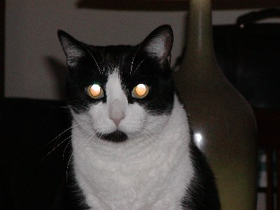 abaxaba's user image