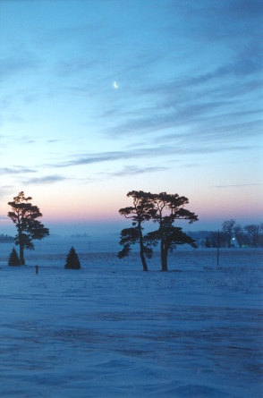 flyfishin's user image