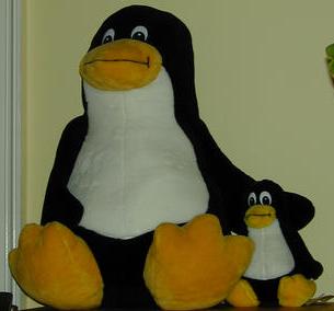 amphiplex's user image