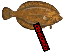 flounder99's user image