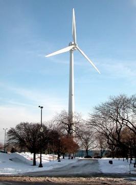 Willard B. Trophy's user image