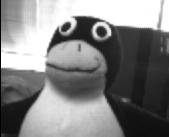 staunch's user image