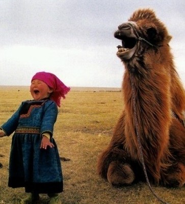 Your Mother's user image