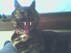 nimdokk's user image